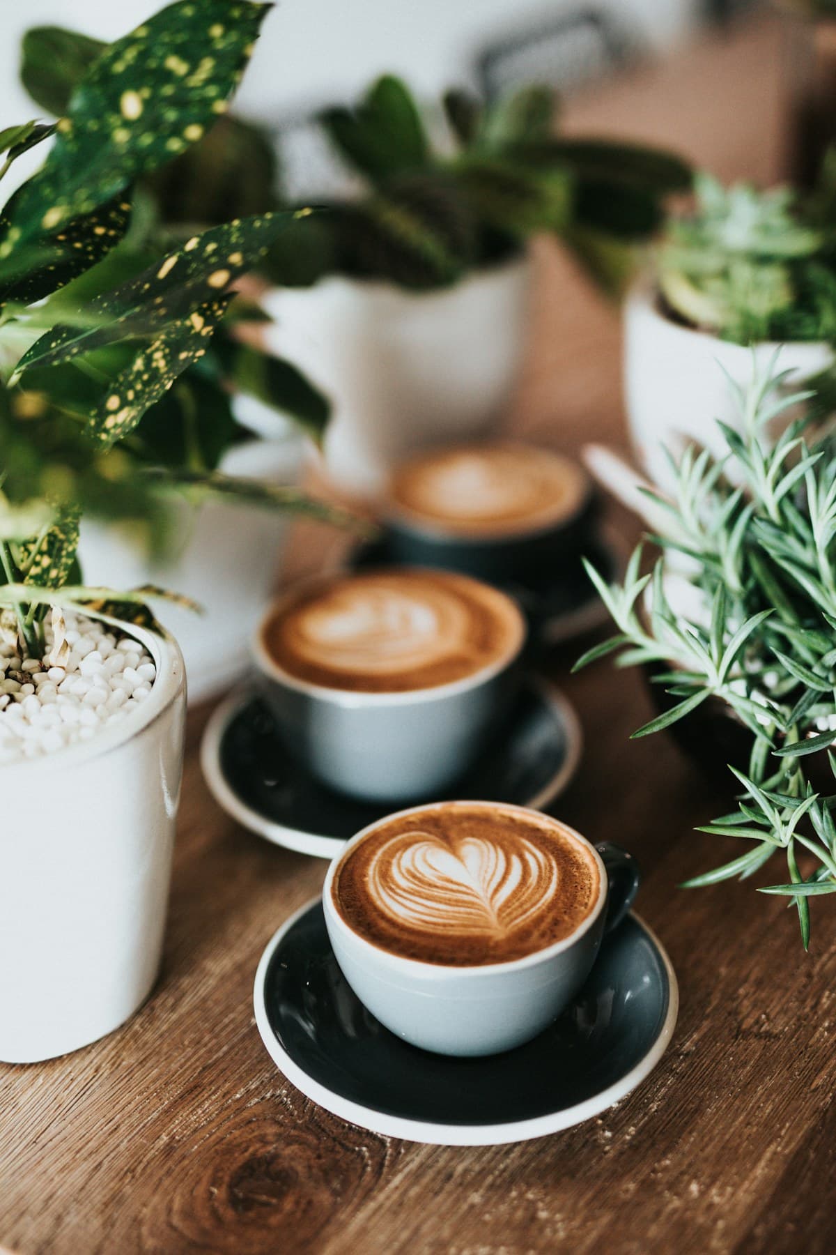 Freshly prepared coffees on a café table
